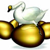 Saving The Goose